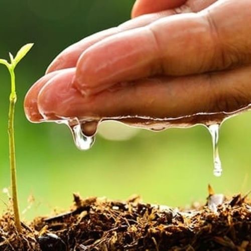 Traducción de horticultura, agricultura y pesca.